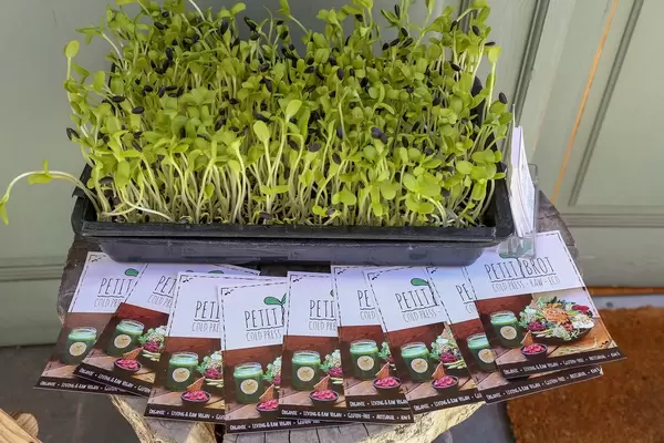 Das vegan Restaurant "Petit Brot" verteilt Flyer und wirbt mit glutenfreier Rohkost, vor einer Schale mit frischer Kresse, in Barcelona (Spanien)