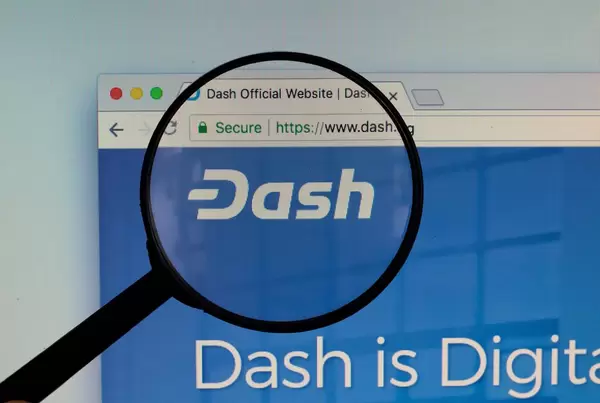 Dash logo on a computer screen with a magnifying glass