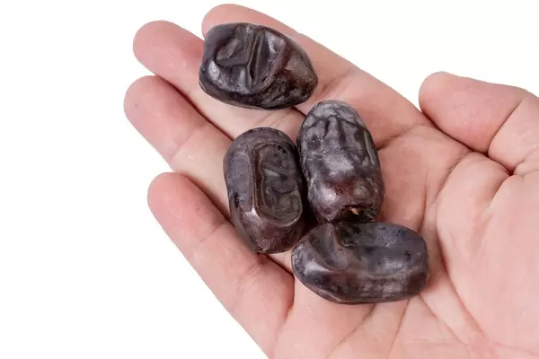 Date Palm Dates on the hand above white background (Flip 2019)