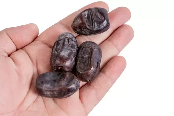 Date Palm Dates on the hand above white background