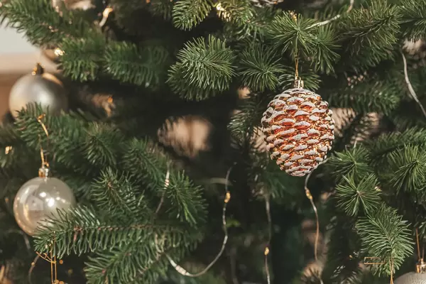Decoration ball and cone hanging on a christmas tree branches