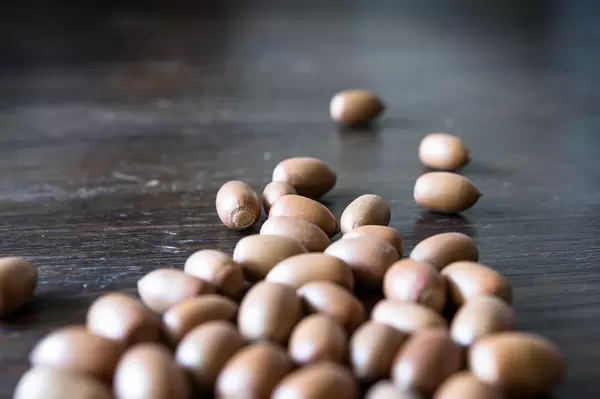 Decorative acorns without caps