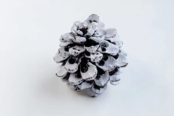 Decorative cone painted in white