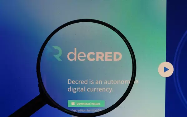 Decred logo under magnifying glass