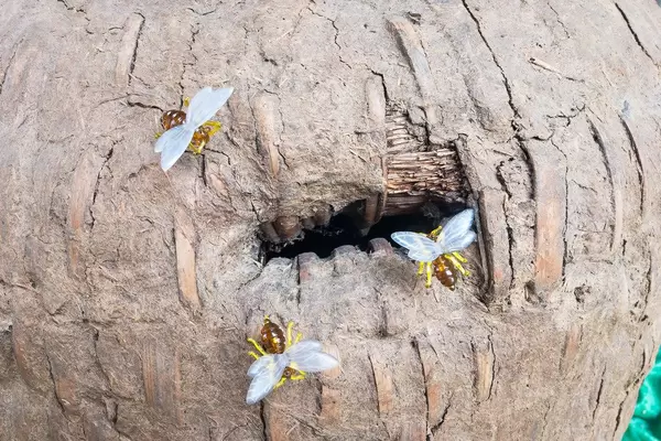 Deko-Bienen und ein künstlicher Bienenstock