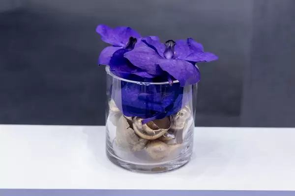 Dekoration aus Glas mit Schneckenhäusern und violetten Blüten auf weißer Ablage