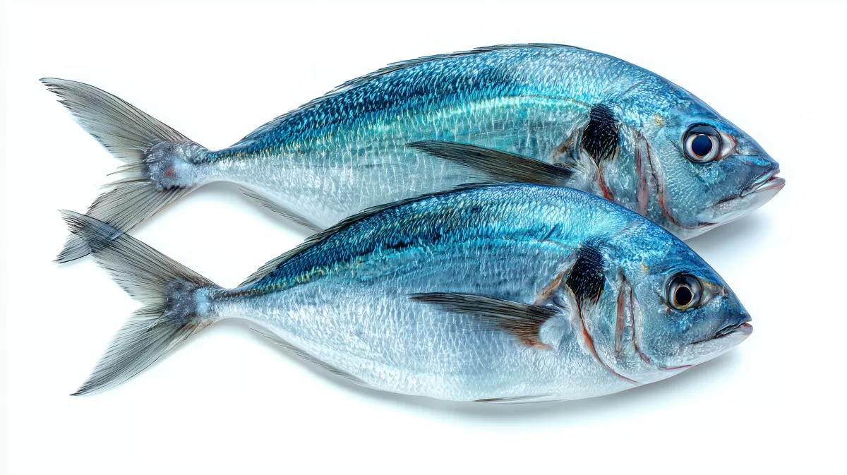 Dekorative Fischfotografie für visuell ansprechende Medieninhalte