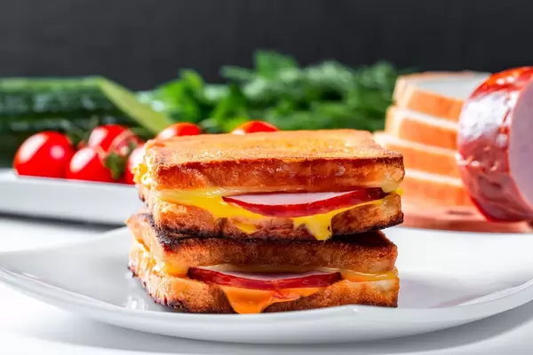 Delicious big hot sandwich on a white plate