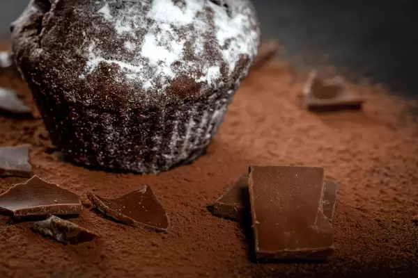 Delicious chocolate cupcake with chocolate pieces