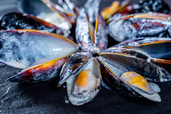 Delicious mussels on black background