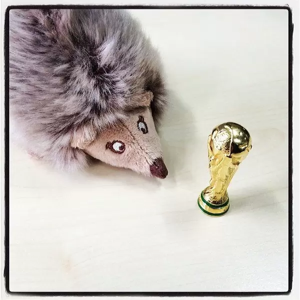 Den WM-Pokal fest im Blick. Noch 111 Tage bis zum WM-Start. #fifa #wm #brazil #brasilien #deutschland #pokal #wm2014