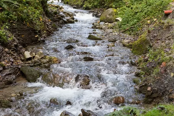 Der Mühlbach fließt in der Nähe von Alpbach, Tirol. Wanderung auf dem Weg der Besinnung