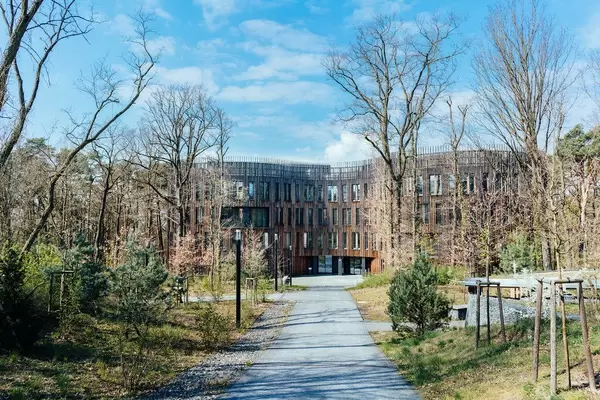 Der Weg zu einem modernen Holzgebäude auf dem Campus in Potsdam, harmonisch in die grüne Natur eingebettet