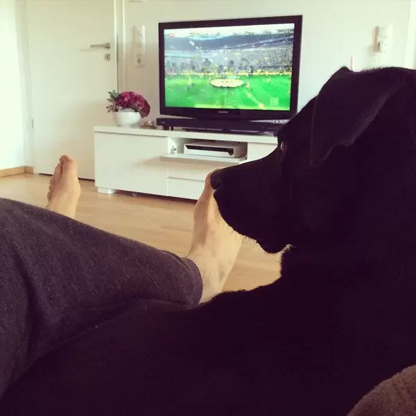 Derbytime!!! #BVBS04 #echteliebe #skybuli #derby #bundesliga #laboftheday #instadog #picoftheday #puppy #animals