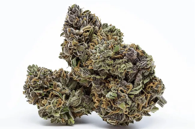 Detailaufnahme von Cannabis-Blüten mit Kristallen