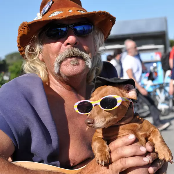 Diamond Dog at Sausalito