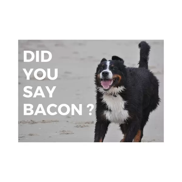 Did you say bacon?