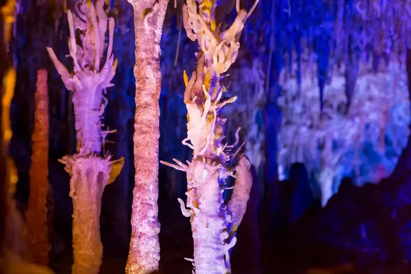 Die exzentrischen Stalaktiten, einem Angelhaken ähnelnd, der Cuevas del Hams, Porto Cristo, Mallorca
