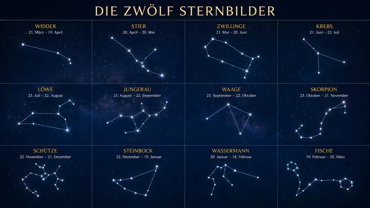 Die zwölf Sternbilder des Tierkreises auf Dunkelblau