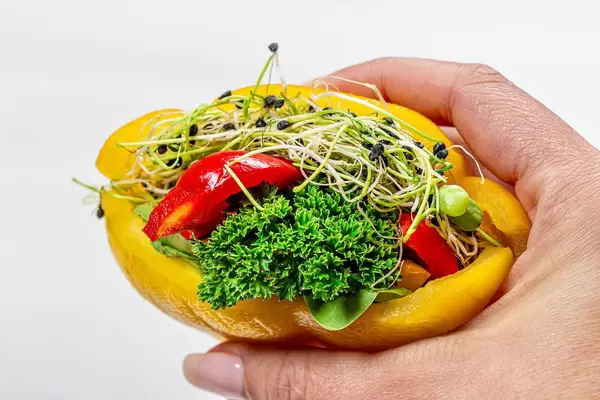 Diet vegetarian sandwich with fresh vegetables and micro greens in a woman's hand (Flip 2019)