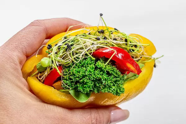 Diet vegetarian sandwich with fresh vegetables and micro greens in a woman's hand