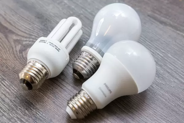 Different light bulbs on a wooden surface