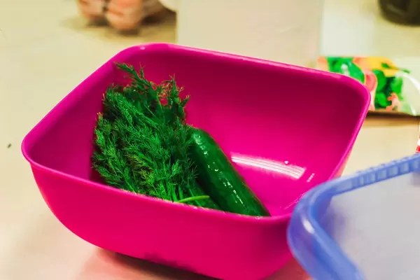 Dilll in a plastic bowl