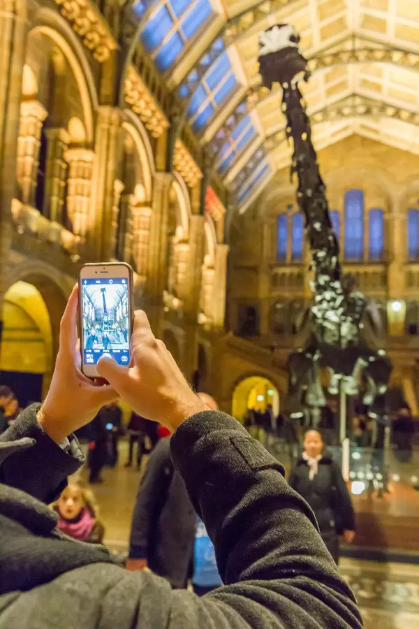 Dinosaurier im Natural History Museum London