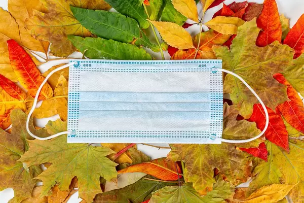 Disposable medical mask on autumn colorful leaves, top view