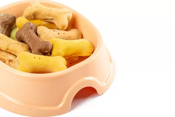 Dog food in the shape of the bones, dried treats for pets