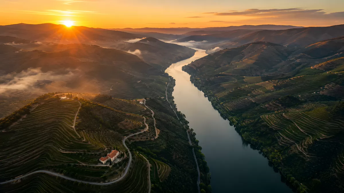 Douro-Tal bei Sonnenaufgang mit Weinbergterrassen