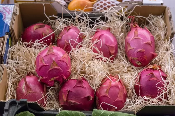 Drachenfrucht am Timeout Market in Lissabon