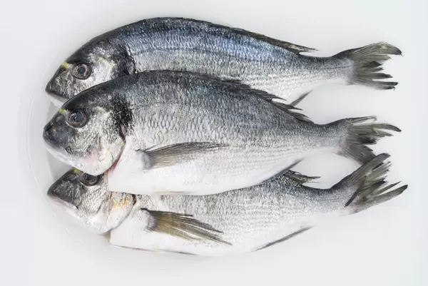 Draufsicht von Goldbrassen vor weißem Hintergrund