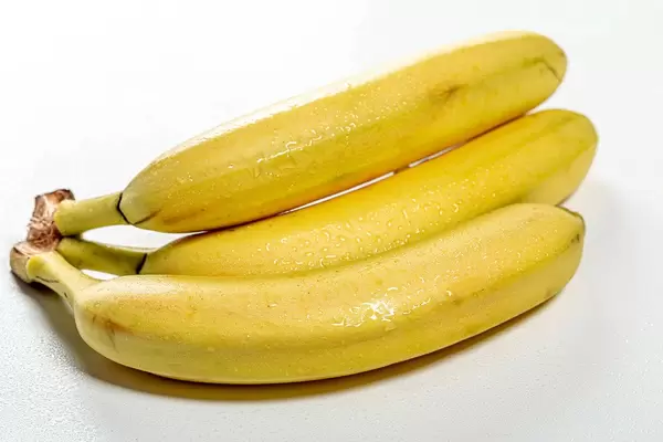 Drei frische reife Bananen mit Wassertropfen in weißem Hintergrund