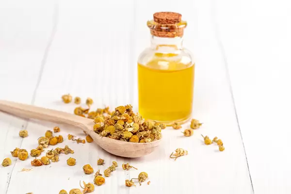 Dried chamomile flowers and a bottle of oil on a white wooden background