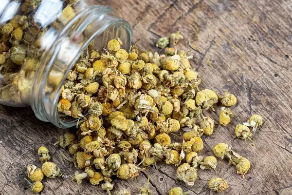 Dried chamomile tea on old wooden background