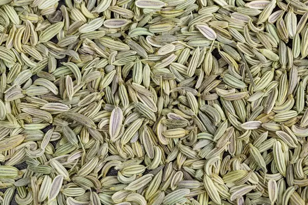 Dried fennel seeds background, top view
