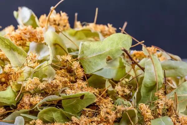 Dried Linden flowers for tea