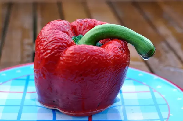 Dried out red pepper