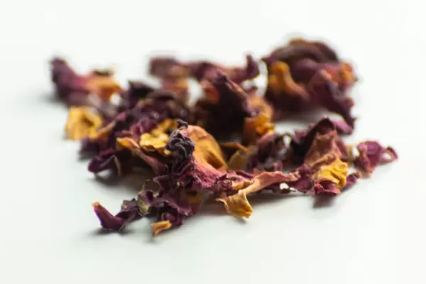 Dried pieces of rose petals scattered on a white background