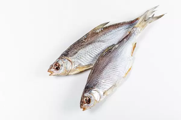 Dried salted roach fish on a white background