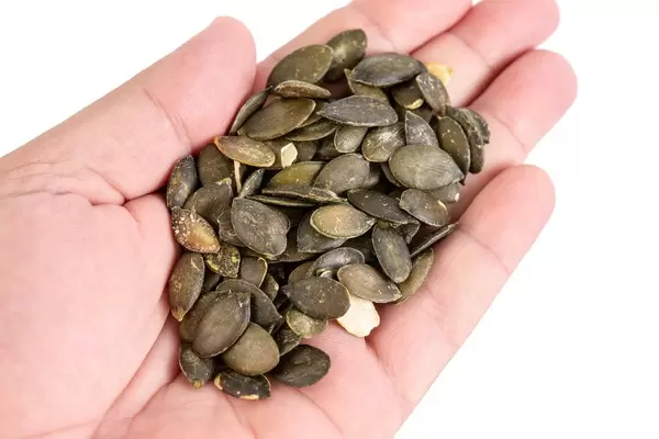 Dried saulty Pumpkin Seeds in the hand