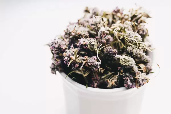 Dried thyme. Herbs, close up