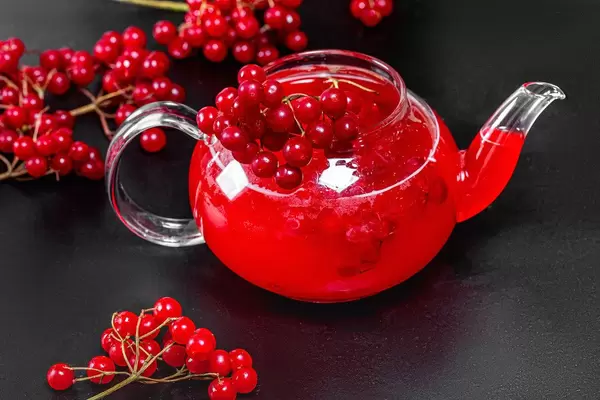 Drink in a glass teapot with fresh viburnum berries on a black background (Flip 2019)