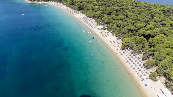Drone pic: crystal-clear waters, pine forest, white sand beach of Koukounaries on Skiathos