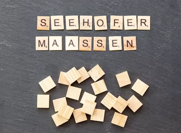 Druck wird zu groß:Seehofer schickt Maaßen in Ruhestand