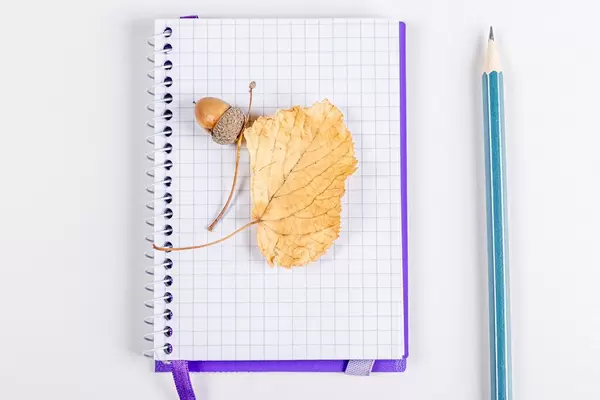 Dry autumn leaf and acorn on a blank notebook on a white background with a pencil