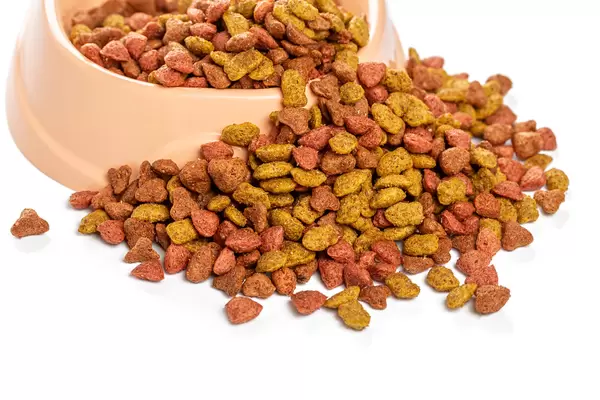 Dry food for domestic cats, balanced nutrition
