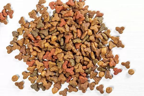 Dry food for kittens closeup (Flip 2019)
