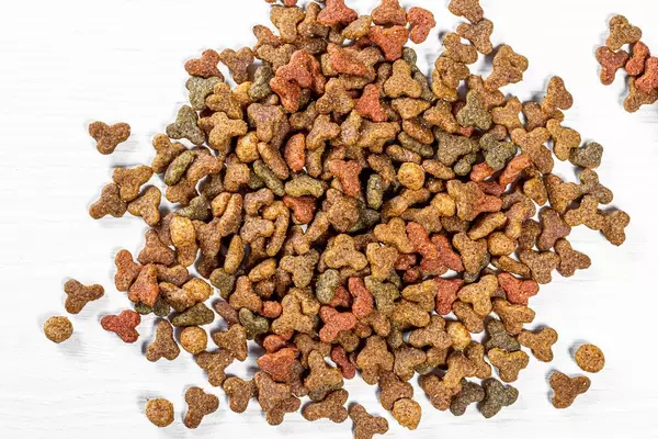 Dry food for kittens closeup